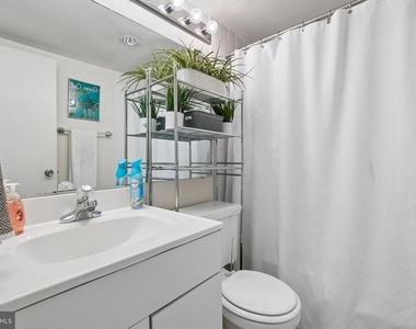 220 Locust Street - Photo Thumbnail 4