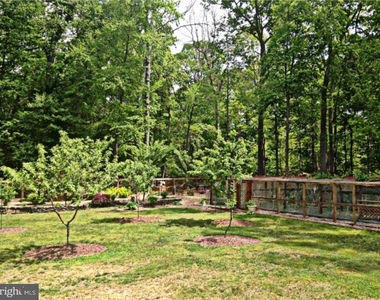 55 Montgomery Street - Photo Thumbnail 25