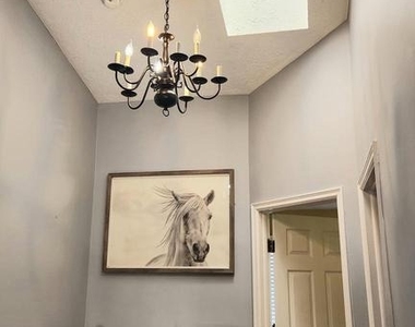 12509 Coral Grove Place - Photo Thumbnail 14