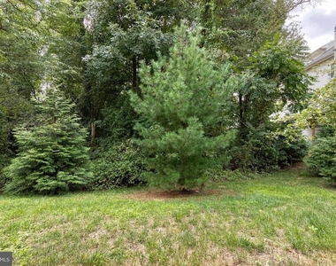 513 Bluffton Drive - Photo Thumbnail 30