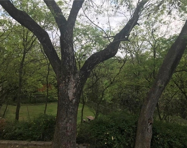 6401 Chimney Creek Cir - Photo Thumbnail 16