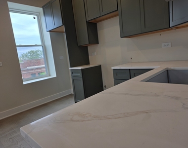 3216 S Morgan Street - Photo Thumbnail 25