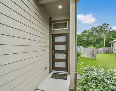 323 Spotted Fern - Photo Thumbnail 3