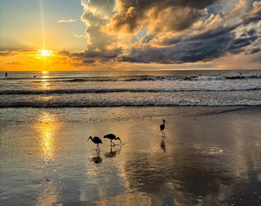1025 Highway A1a - Photo Thumbnail 70