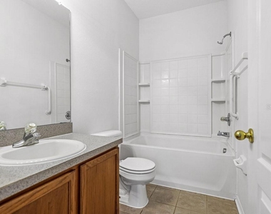 15807 Fishhawk Falls Drive - Photo Thumbnail 11