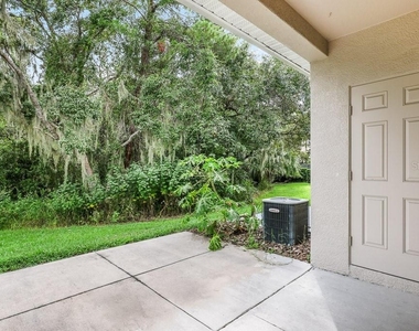 15807 Fishhawk Falls Drive - Photo Thumbnail 15