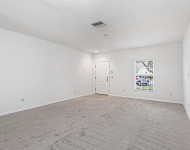 15807 Fishhawk Falls Drive - Photo Thumbnail 4