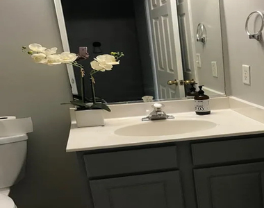 3266 Mill Springs Circle - Photo Thumbnail 6