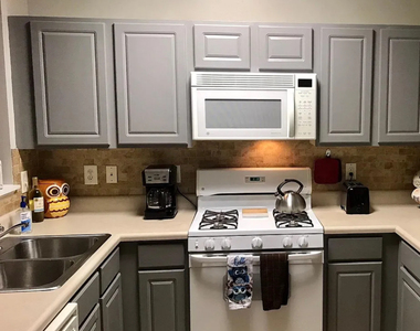 3266 Mill Springs Circle - Photo Thumbnail 3