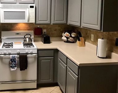 3266 Mill Springs Circle - Photo Thumbnail 2