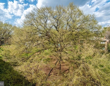 2904 Kings Chapel Road - Photo Thumbnail 26