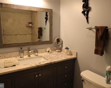 123 Cameron Street - Photo Thumbnail 26