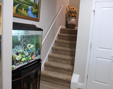 123 Cameron Street - Photo Thumbnail 5