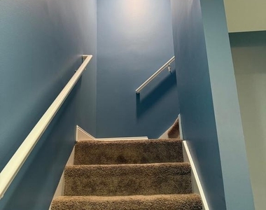 123 Cameron Street - Photo Thumbnail 67