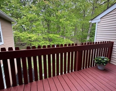 46 Woodbine Court - Photo Thumbnail 26