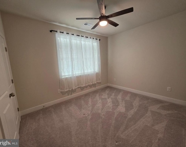 29078 Frenchman Bay Drive - Photo Thumbnail 16