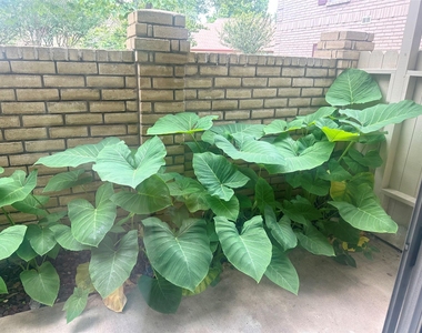 2120 El Paseo Street - Photo Thumbnail 18