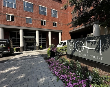 52 Forest Street - Photo Thumbnail 22