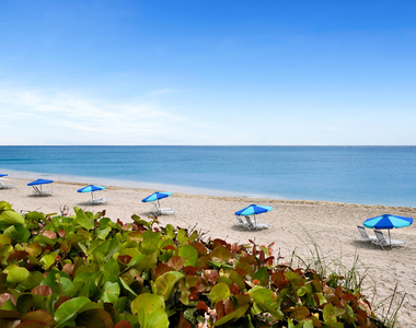 4100 N Ocean Drive - Photo Thumbnail 4