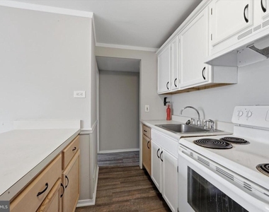 151 Chadwick Avenue - Photo Thumbnail 4