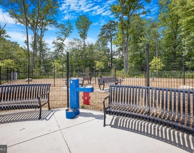 10517 Sally Ride - Photo Thumbnail 33