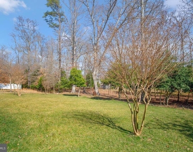 11810 Tregiovo Place - Photo Thumbnail 39