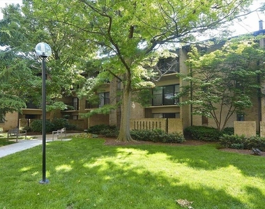 10 Monroe Street - Photo Thumbnail 22