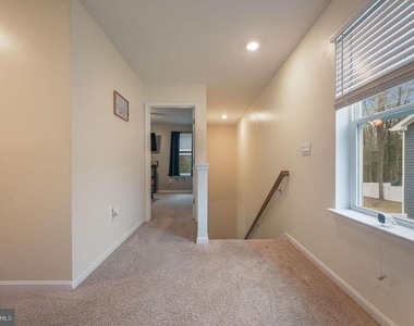 504 Currant Circle - Photo Thumbnail 22