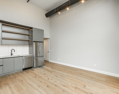 729 N Sangamon Street - Photo Thumbnail 6