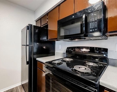 2809 W William Cannon Drive - Photo Thumbnail 19