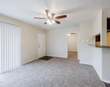 2809 W William Cannon Drive - Photo Thumbnail 16