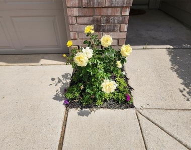 12808 Kingsgate Drive - Photo Thumbnail 37