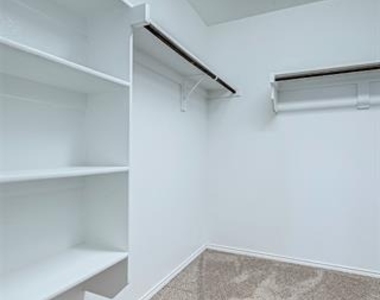 120 Abelia Drive - Photo Thumbnail 28