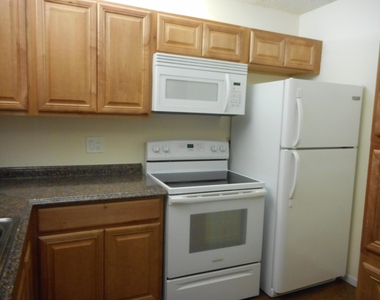 202 Foxtail Drive - Photo Thumbnail 10