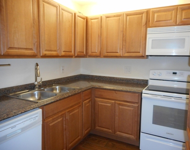 202 Foxtail Drive - Photo Thumbnail 11