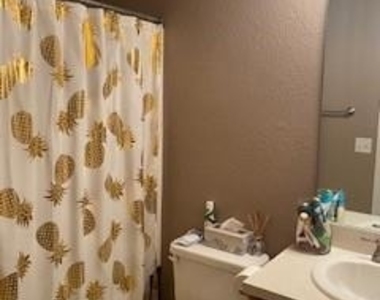 15616 Lilly Garden Lane - Photo Thumbnail 12