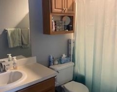 15616 Lilly Garden Lane - Photo Thumbnail 10