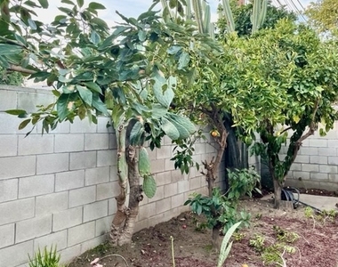 3313 Adriatic Avenue - Photo Thumbnail 16