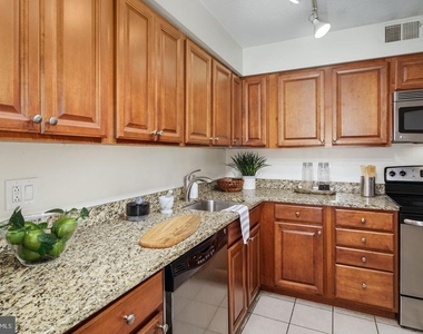 1420 Locust Street - Photo Thumbnail 4