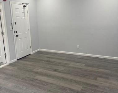 307 Spring Street - Photo Thumbnail 9