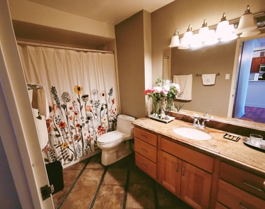 211 E Ohio Street - Photo Thumbnail 9