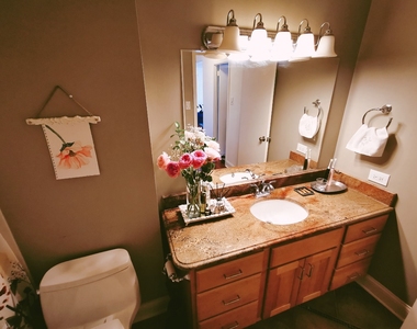 211 E Ohio Street - Photo Thumbnail 8