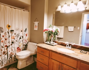 211 E Ohio Street - Photo Thumbnail 7