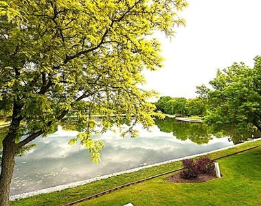 27w705 Windermere Road - Photo Thumbnail 9