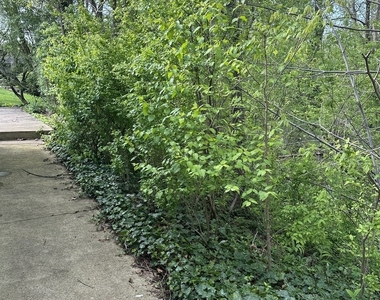 2030 Crestwood Lane - Photo Thumbnail 11