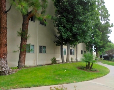 25109 Ebony Ln - Photo Thumbnail 4