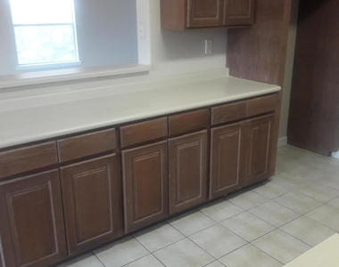517 Belvidere Street - Photo Thumbnail 4