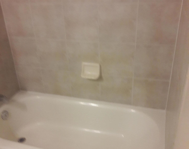 517 Belvidere Street - Photo Thumbnail 15