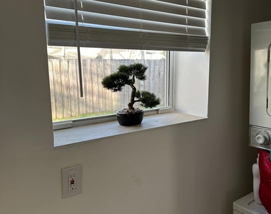 817 Tyler Street - Photo Thumbnail 13