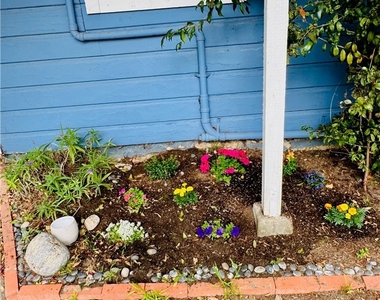24263 Los Codona Avenue - Photo Thumbnail 13